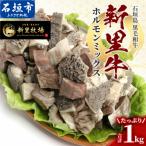 石垣島産 黒毛和牛 新里牛 ホルモンミックス 500g×2