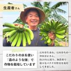 希少 こだわりの水を使い 森ような畑 で栽培する