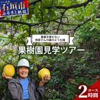農薬を使わない 仲原さんの森のような畑