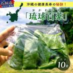 < > 沖縄の健康長寿の秘訣