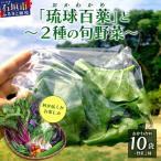 <先行受付> 琉球百薬 おかわかめ