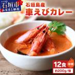 石垣島産車えびカレー 小辛 石垣島のカレー専門店が作るご…