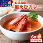 石垣島産車えびカレー 大辛 石垣島のカレー専門店が作るご…