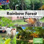 Rainbow Forest レインボーフォレスト