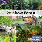 Rainbow Forest レインボーフォレスト