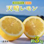 フルーツ 果物 くだものレモン れもん 檸檬