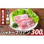 K-485-A 産さつま黒豚 シャトーブリアン 計300g