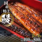 ふるさと納税 境町 【丑の日までにお届け!!】 国産 特上うなぎ 蒲焼き 2尾 400g以上 タレ 山椒付 簡易包装