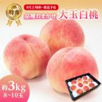 ふるさと納税 大江町 《先行受付》品種おまかせ 大玉白桃 約3kg 特秀【2025年8月上旬頃〜発送予定】001-100