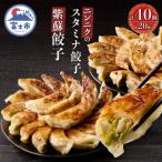 ふるさと納税 富士市 紫蘇餃子(20個)とニンニクのスタミナ餃子(20個) [sf001-223]