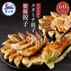 ふるさと納税 富士市 紫蘇餃子(30個)とニンニクのスタミナ餃子(30個) [sf001-224]