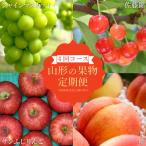 ふるさと納税 長井市 【2026年発送】【定期便4回】山形旬の果物4選(佐藤錦桃シャインマスカットりんご)H240(R8)