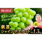 ショッピングふるさと納税 シャインマスカット ふるさと納税 矢掛町 【2026年先行予約】厳選 シャインマスカット 約1.3kg 《2026年9月上旬-11月中旬出荷》