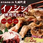 ふるさと納税 天城町 徳之島 天城町 イノシシ 焼肉セット 2kg 猪肉 ジビエ 焼肉 ロース バラ サイコロ