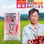 北 新米 令和8年産 産あきたこまち60kg