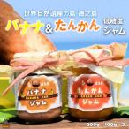 徳之島の完熟フルーツ食べ比べ 低糖度の徳之島バナナ&たん…