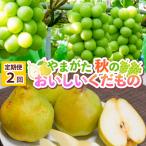 やまがた 秋のおいしいくだものFS25-777