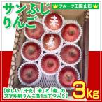 ☆フルーツ王国山形☆りんご 3kg