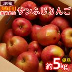 ふるさと納税 山形市 【家庭用】ふじりんご 優品 約5kg入り FY25-066