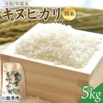 令和7年度米 キヌヒカリ精米 5キロ
