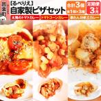 自家製ピザ 揚げピザ カレー3種セット 太陽のトマトカレー+…