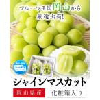 ニューピオーネシャインマスカット 詰め合わせ約1.2kg