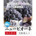 秀品 ニューピオーネ 約600g