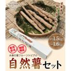 fu.... налог стрела . блок Японский ямс комплект {11 месяц средний .-12 конец месяца примерно отгрузка }