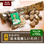 やかげの原木乾燥しいたけ 150g