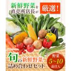 旬の新鮮野菜詰め合わせセット 野菜5~10品目入