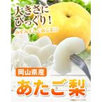 あたご梨 大玉2玉