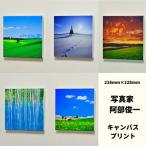 写真家 阿部俊一 キャンバスプリント 228mm