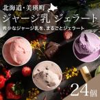 ショッピングふるさと納税 アイス ふるさと納税 美瑛町 ジェラート アイス 24個BOX  びえい牧場の牛乳を使用!gelatrip's selection