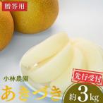 ショッピングふるさと納税 梨 ふるさと納税 三条市 先行受付 和梨 あきづき 約3kg 令和8年度 新潟県三条市産 梨 [小林農園]【010S748】