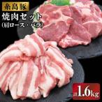 ふるさと納税 糸島市 JA糸島 糸島豚 焼肉 セット 肩ロース バラ 糸島市/JA糸島産直市場 伊都菜彩[AED004]