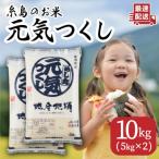 糸島のお米 元気つくし 10kg