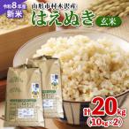 村木沢産 はえぬき 玄米 20kg