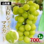 大粒 シャインマスカット 1房 700g以上