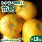甘夏 10kg