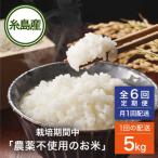 米 令和7年産 6回 定期便 とくべつの中の