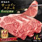 博多和牛 ヒレステーキ 1kg