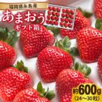 糸島産 あまおう 箱 24-30粒