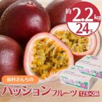 前村さんちのパッション フルーツ 約2.2kg