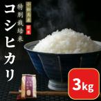 令和8年産 新米 白米 3kg