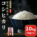 米 コシヒカリ 10kg