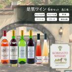 是里 ワイン 果実酒 各1本