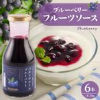 fu.... налог восток корень город фрукты соус 320g голубика (6шт.@) Wakayama промышленность предлагается Yamagata префектура восток корень город hi070-001