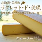ラクレットチーズ クオーターサイズ 1.2kg