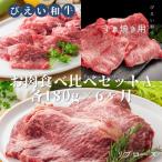 ファームズ千代田 びえい 和牛 お肉食べ比べセットA
