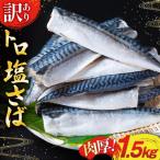 ショッピングふるさと納税 訳あり ふるさと納税 気仙沼市 訳あり 塩サバ フィレ 1.5kg [足利本店 20565942]